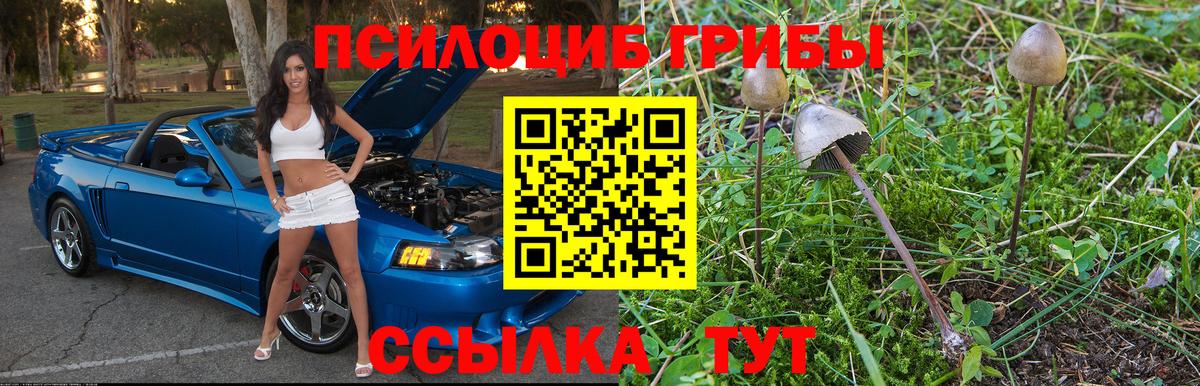 Кудымкар  Галлюциногенные грибы мухоморы  Вход с VPN  Псилоцибиновые грибы Cubensis 